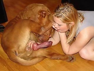 Animal porn video tube
