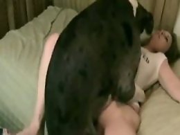 Bestiality porn tube