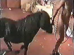 100% Free ZOO sex videos