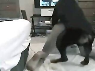 Bestiality Video