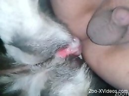 Zoo Porn Fun