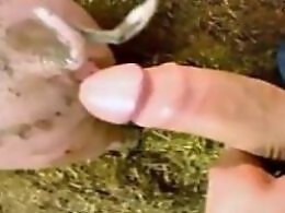 XXX Animal Porn
