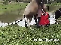 XXXZooVideo