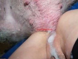Animal Sex Gold