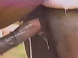 Free Zoo porn tube