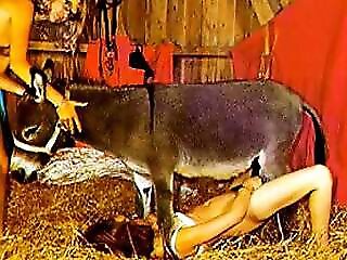Sexy Beastiality Porn Videos