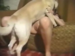 XXX bestiality zoo porn