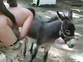 Sex with Dog and animals