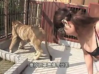 Bestiality Video