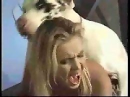 Bestiality Video