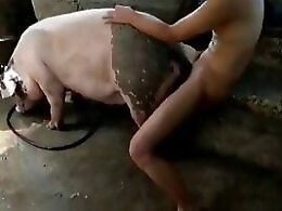 Dog Sex Zoo