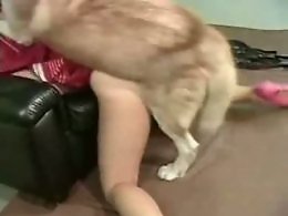 BeastVids