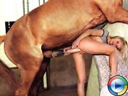 XXX bestiality zoo porn