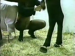 Animal Toplist Zoo Sex Porn