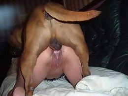 Zoo porno and animal sex