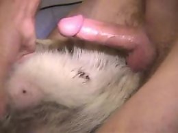 Bestiality Zoo Sex Drawings