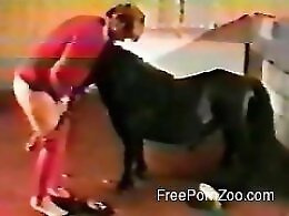 ZooAnimalPorn