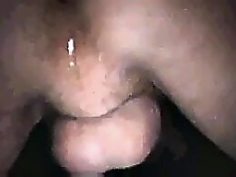 Bestiality porn tube