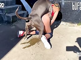 Free Zoo porn tube