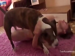 Zoo porno and animal sex