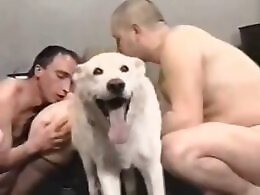 ZooXPorn