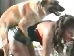 Animal porn video tube