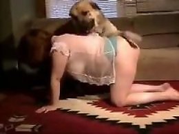 Animal porn videos and ZOO PORN
