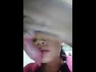 Mature Zoo Porn