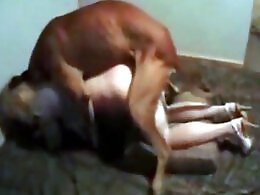 Animal porn and zoo sex