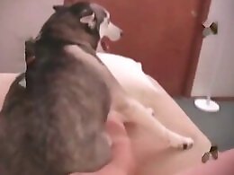 Bestiality dog tube