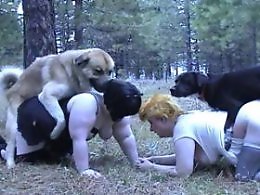Mature Zoo Porn