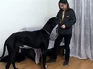 Free Zoo porn tube