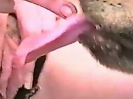 Free Zoo porn tube