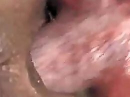 Animal porn video tube