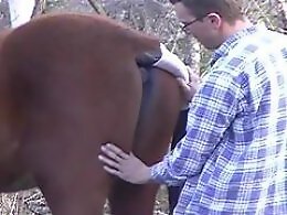 Animal porn videos and ZOO PORN
