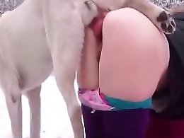 ZOO Porn and bestiality tube