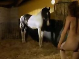 Bestiality Horse Tube