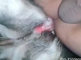 Zoo porno and animal sex