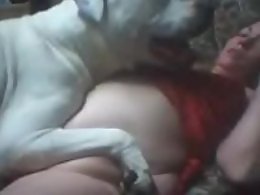Animal porn and zoo sex