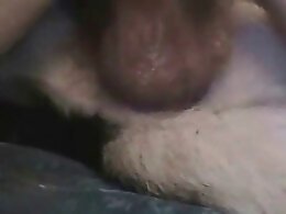Bestiality porn tube