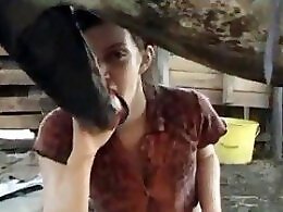 Zoo Porn Fun
