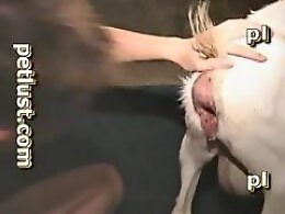Sexy Beastiality Porn Videos