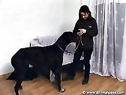 ZooAnimalPorn