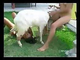 ZooXPorn