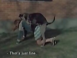Zoophilia Porn