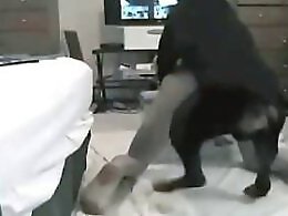 Zoo Porn Fun