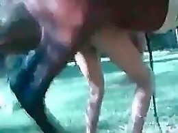 Zoo porno and animal sex