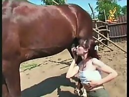 Free Zoo porn tube