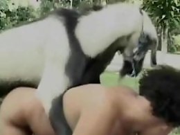 Zoo Porn Co