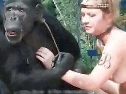 Free Zoo porn tube